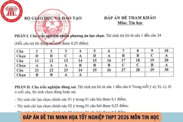 Hỏi đáp Pháp luật