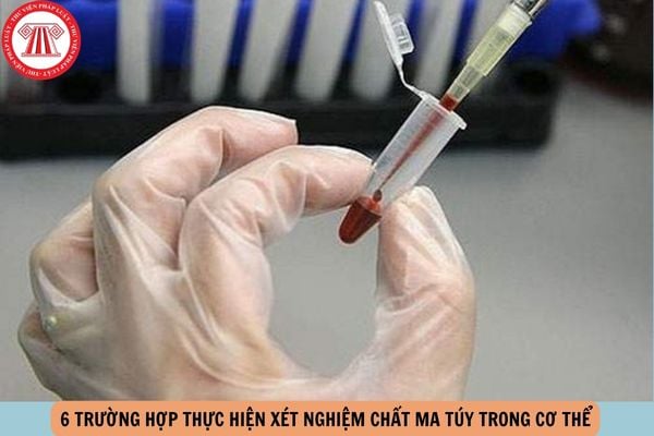 Hỏi đáp Pháp luật