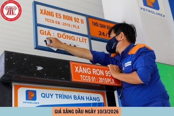 giá xăng hôm nay 10 3 2026