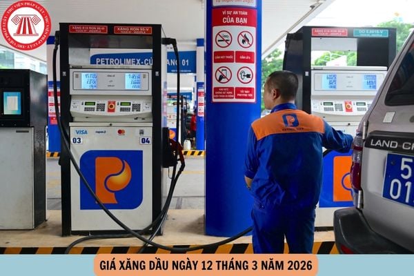 Hỏi đáp Pháp luật