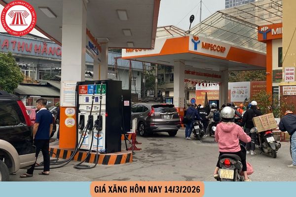 giá xăng hôm nay 14 3