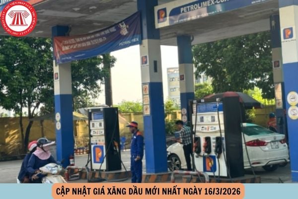 Hỏi đáp Pháp luật