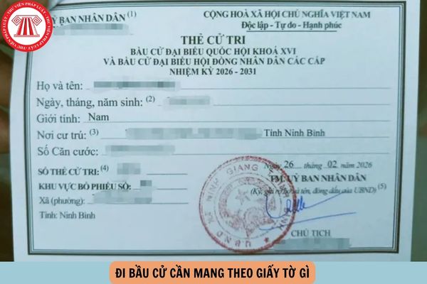 Hỏi đáp Pháp luật