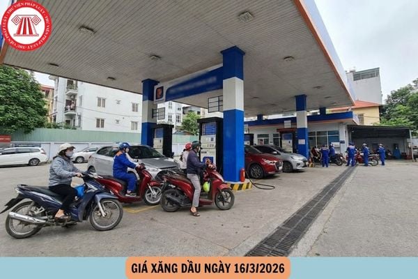 Hỏi đáp Pháp luật