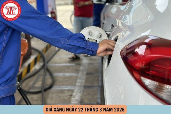 Hỏi đáp Pháp luật