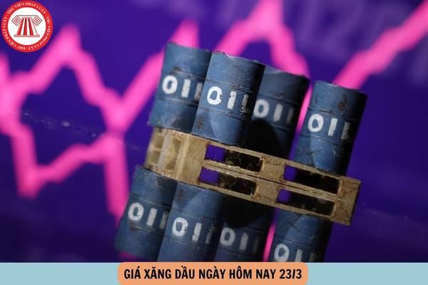 Hỏi đáp Pháp luật