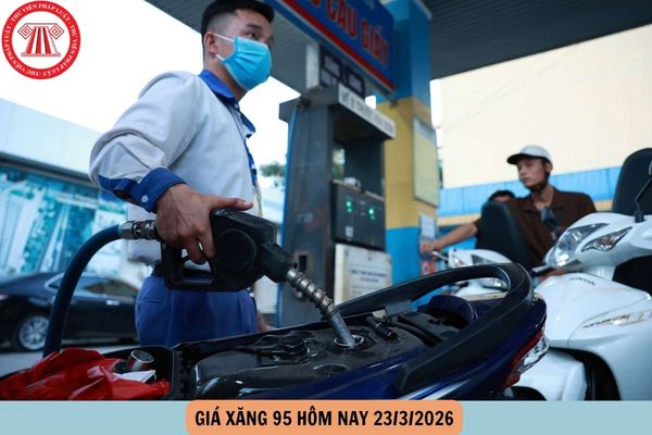 Hỏi đáp Pháp luật