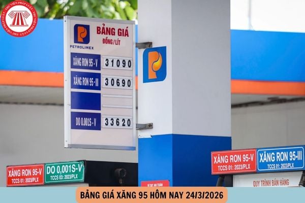 Hỏi đáp Pháp luật