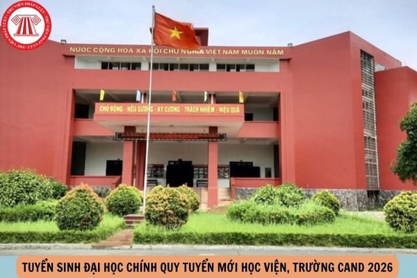 Hỏi đáp Pháp luật