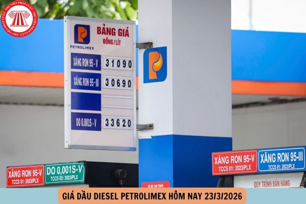 Hỏi đáp Pháp luật