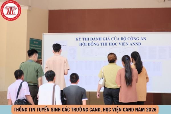 Hỏi đáp Pháp luật
