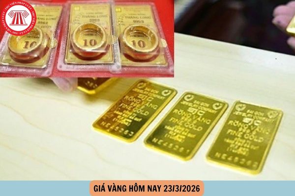 Hỏi đáp Pháp luật