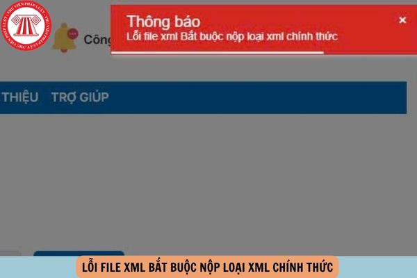 Hỏi đáp Pháp luật