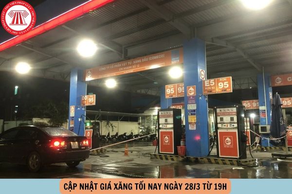 Hỏi đáp Pháp luật