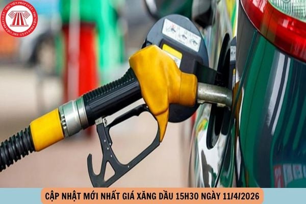 Hỏi đáp Pháp luật
