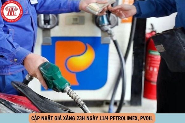 Hỏi đáp Pháp luật