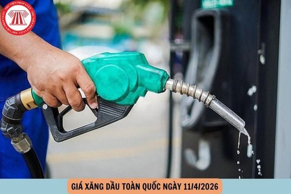 Hỏi đáp Pháp luật