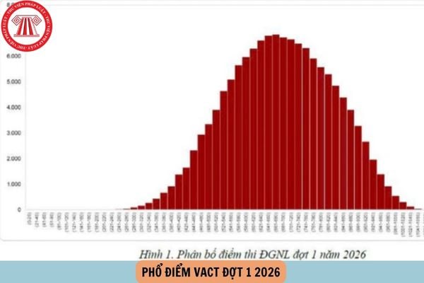 Phổ điểm VACT đợt 1 2026