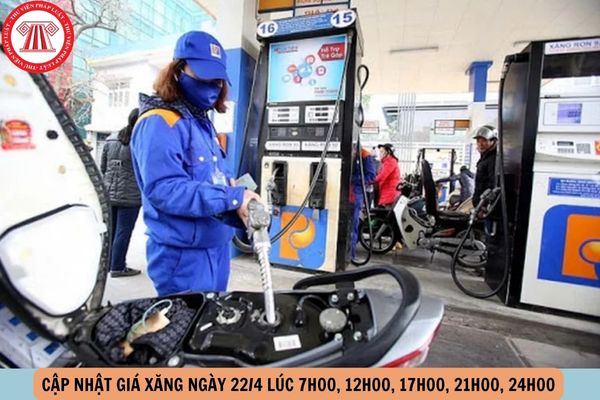 Hỏi đáp Pháp luật