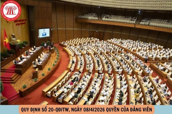 Hỏi đáp Pháp luật