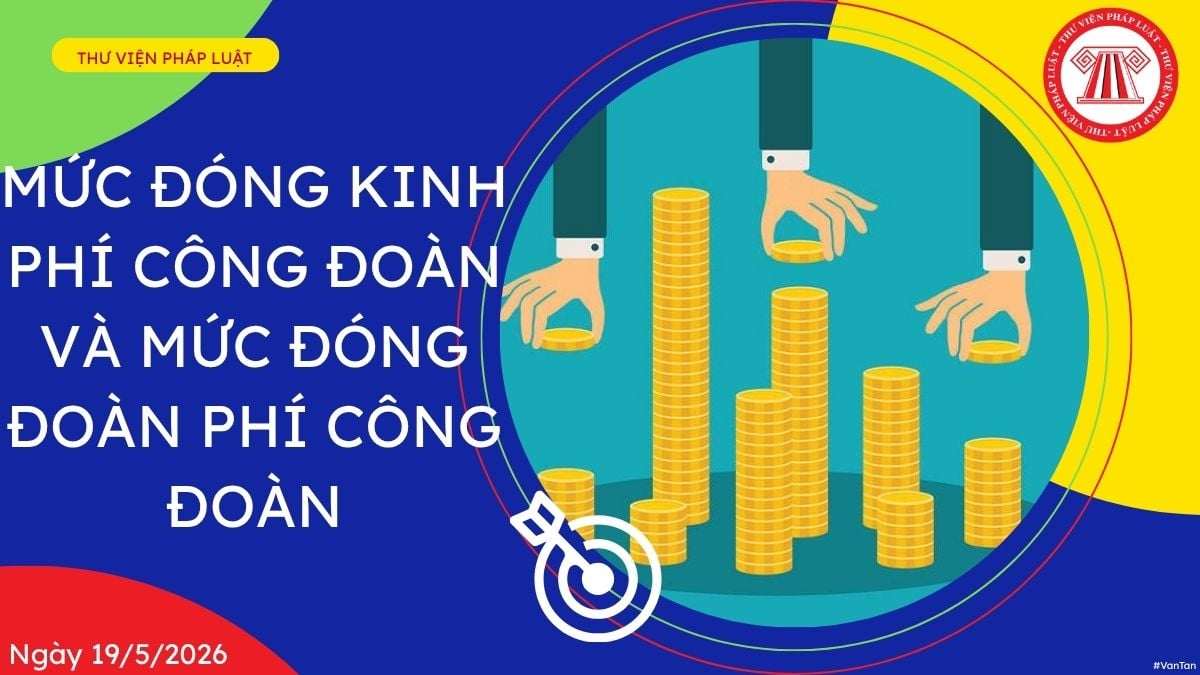 Hỏi đáp Pháp luật