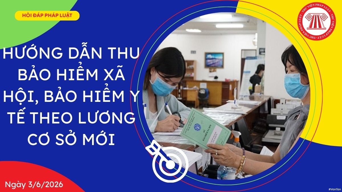 Hỏi đáp Pháp luật