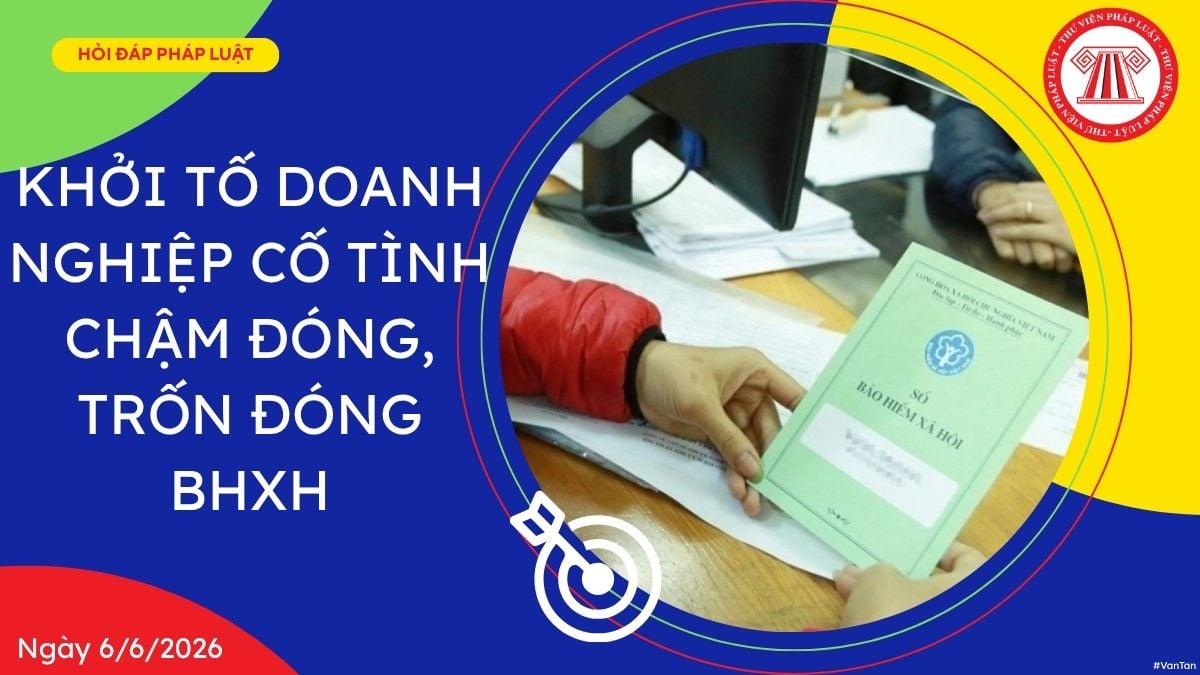 Hỏi đáp Pháp luật