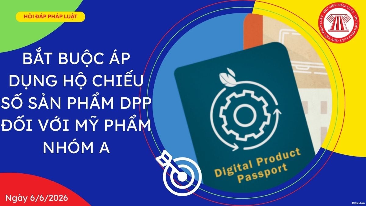 Hỏi đáp Pháp luật