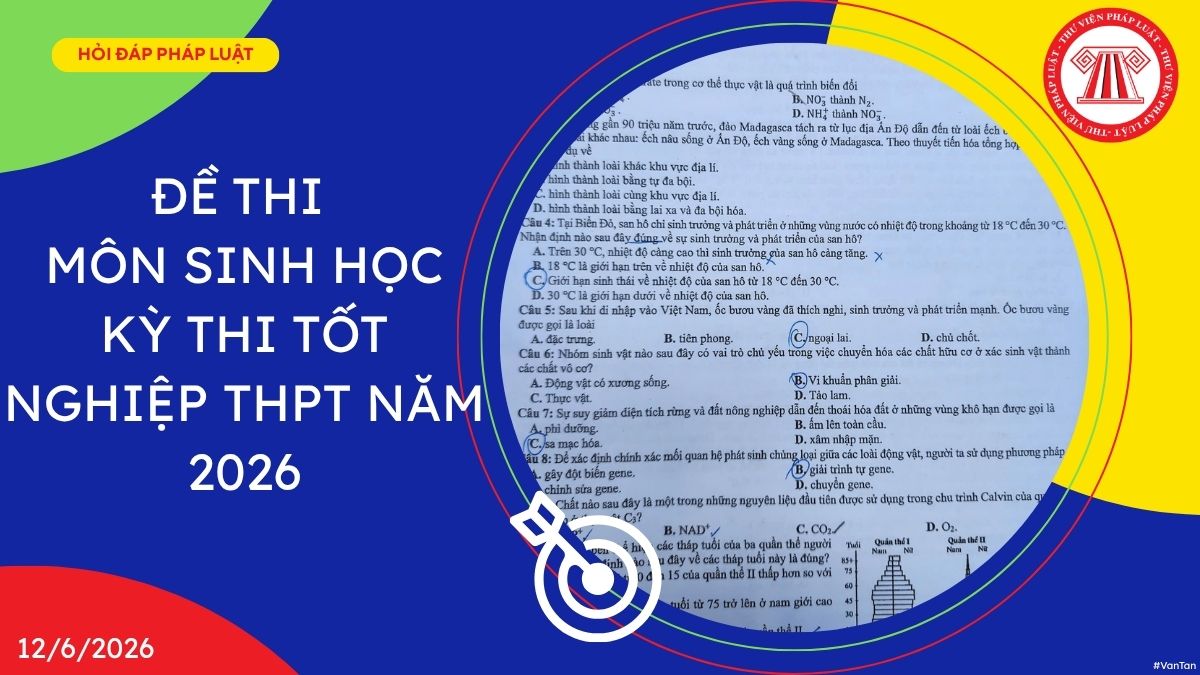 Hỏi đáp Pháp luật
