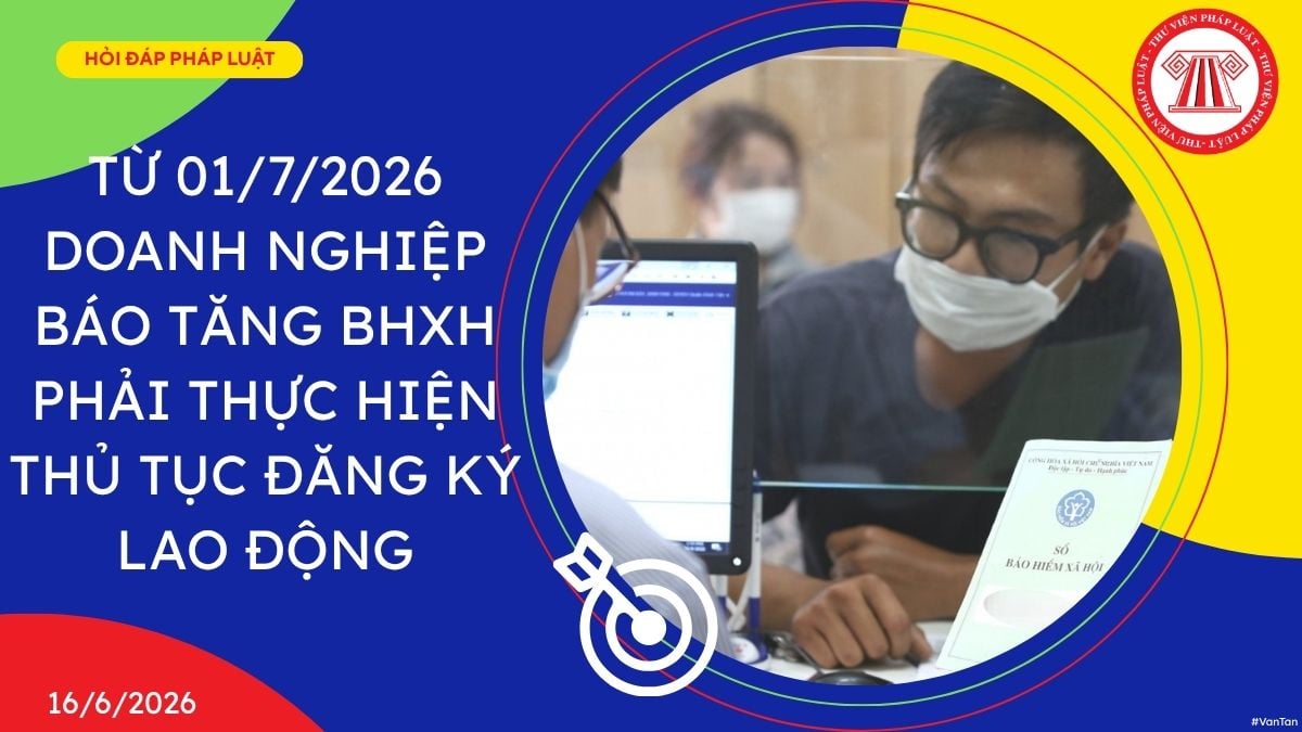 Hỏi đáp Pháp luật
