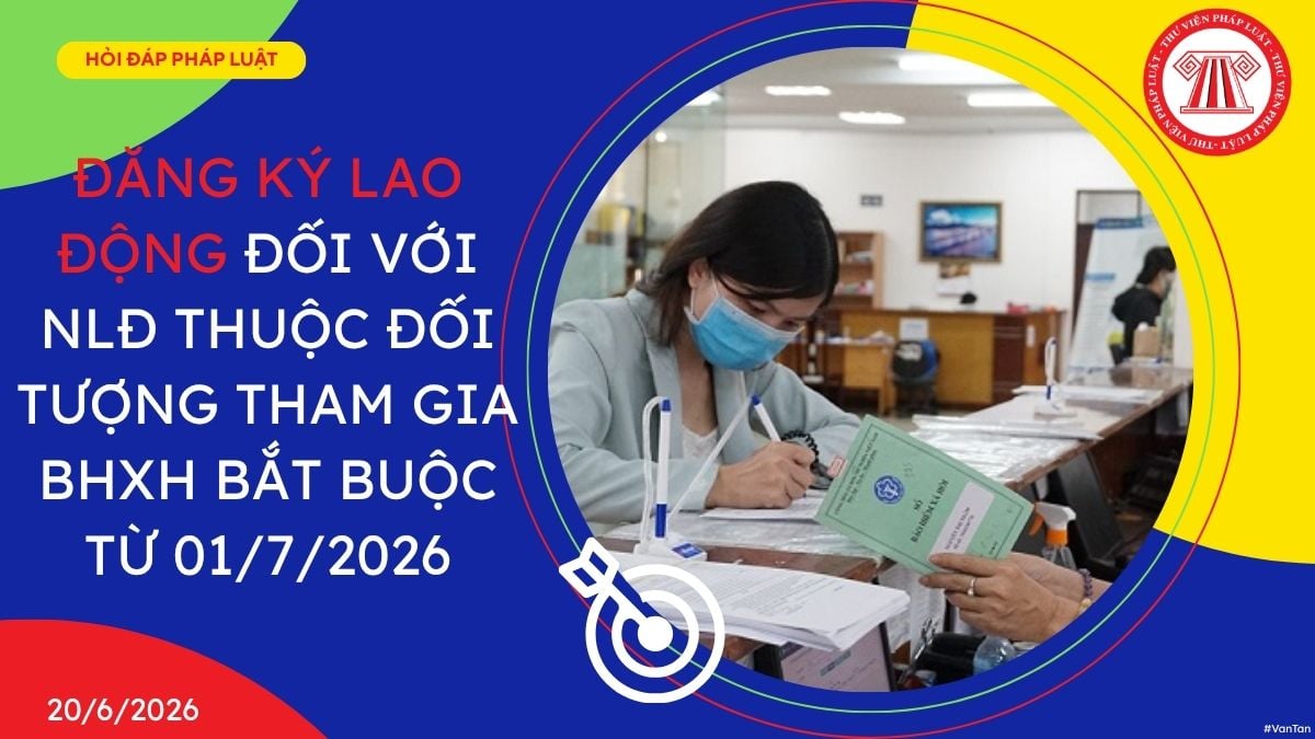 Hỏi đáp Pháp luật