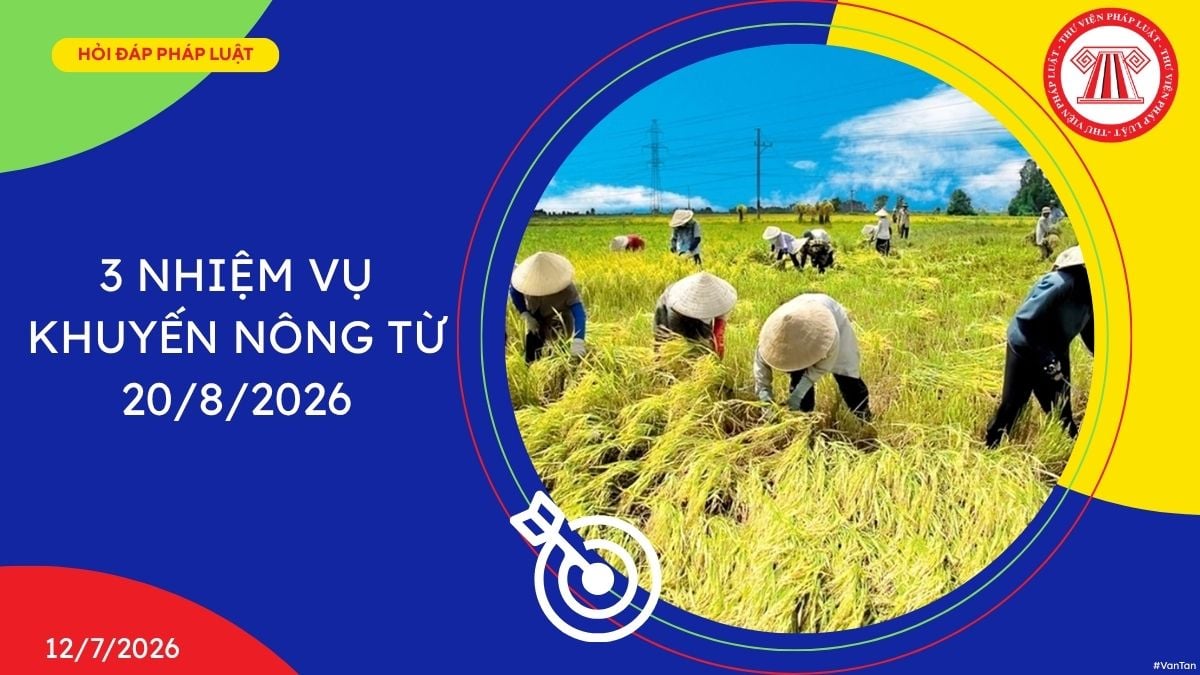Hỏi đáp Pháp luật