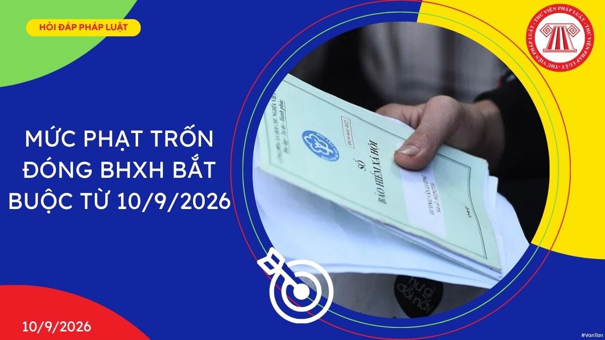 Mức phạt trốn đóng BHXH 2026