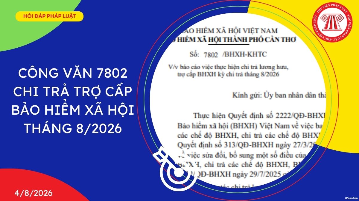 Công văn 7802 chi trả trợ cấp bảo hiểm xã hội tháng 8/2026