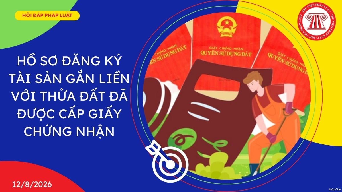 Hỏi đáp Pháp luật