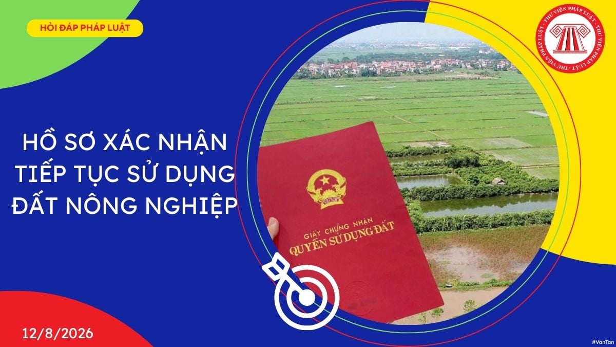 Hỏi đáp Pháp luật
