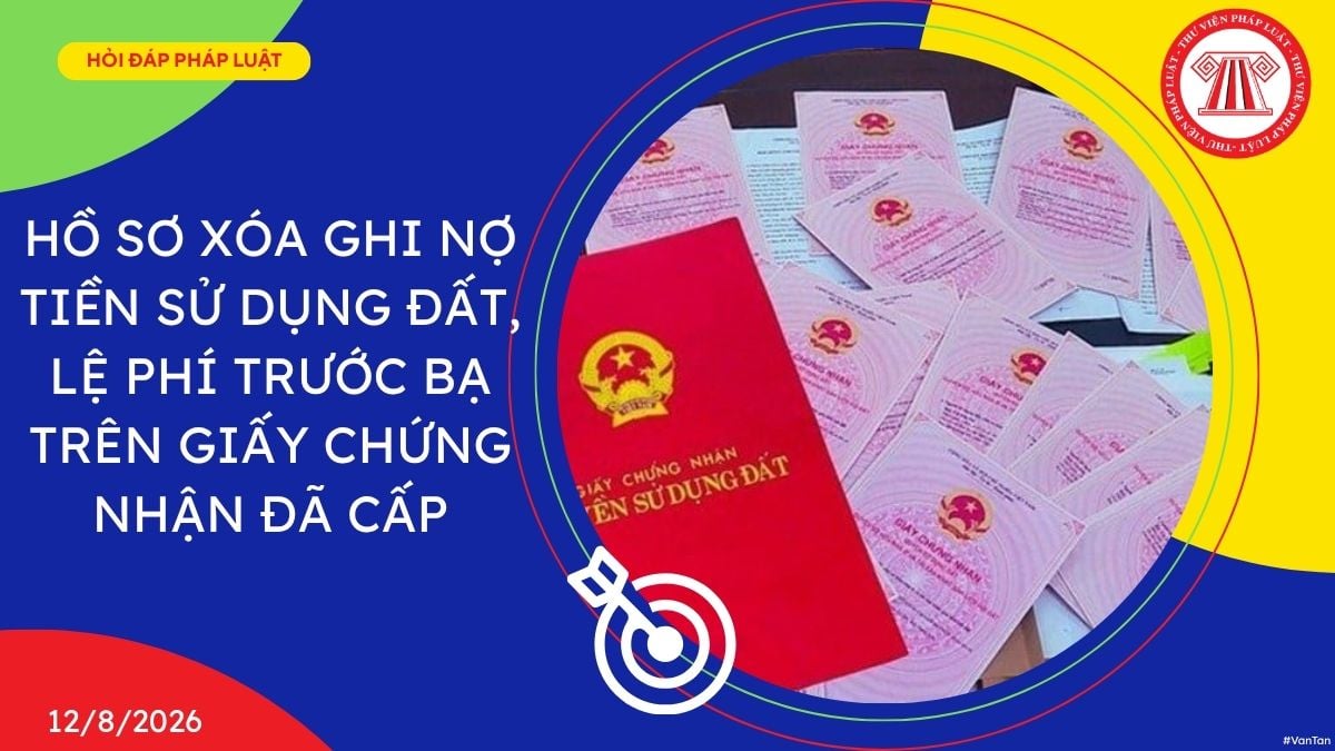 Hỏi đáp Pháp luật