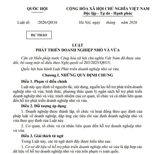 Dự thảo Luật Phát triển doanh nghiệp nhỏ và vừa ngày 28/8/2026