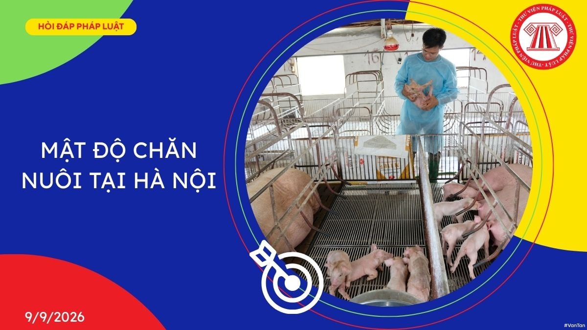 Hỏi đáp Pháp luật