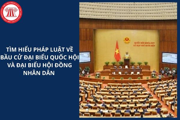 Hỏi đáp Pháp luật