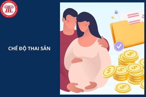 Hỏi đáp Pháp luật