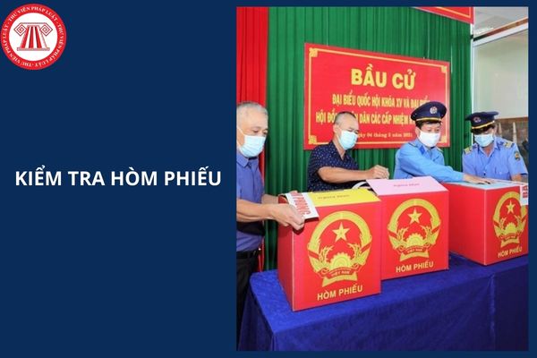 Hỏi đáp Pháp luật