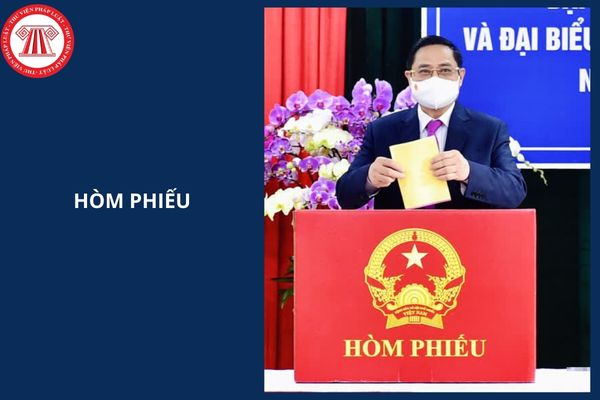 Hỏi đáp Pháp luật