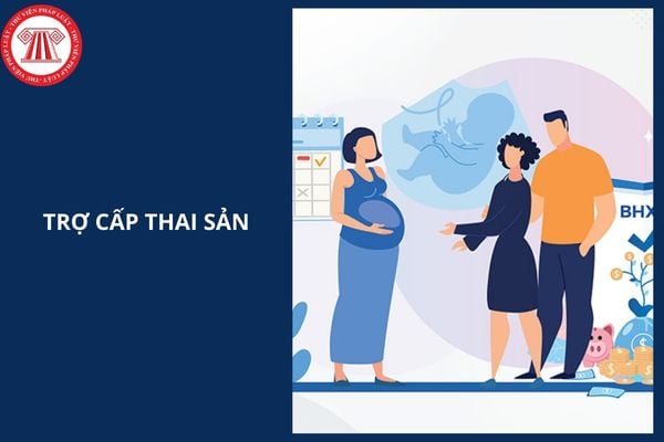 Hỏi đáp Pháp luật