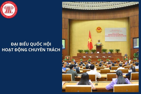 Hỏi đáp Pháp luật