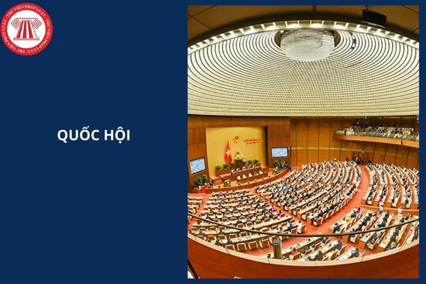 Hỏi đáp Pháp luật