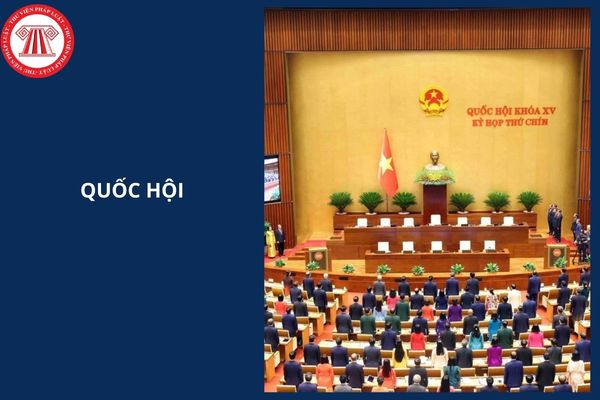 Hỏi đáp Pháp luật