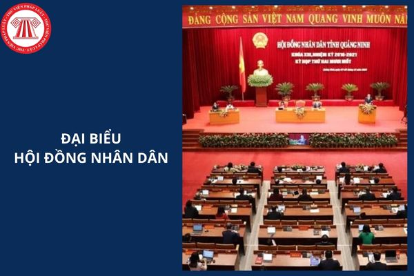 Hỏi đáp Pháp luật