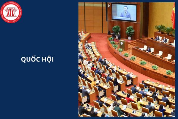 Hỏi đáp Pháp luật