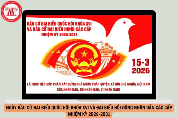 Ngày bầu cử đại biểu Quốc hội khóa XVI và đại biểu Hội đồng nhân dân các cấp nhiệm kỳ 2026-2031 được ấn định vào ngày nào?